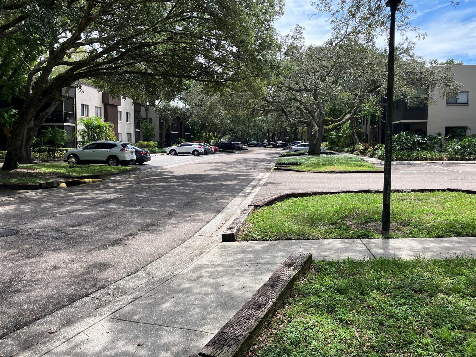 11703 Raintree Village Boulevard #B Temple Terrace FL 33617 TB8468420 image54