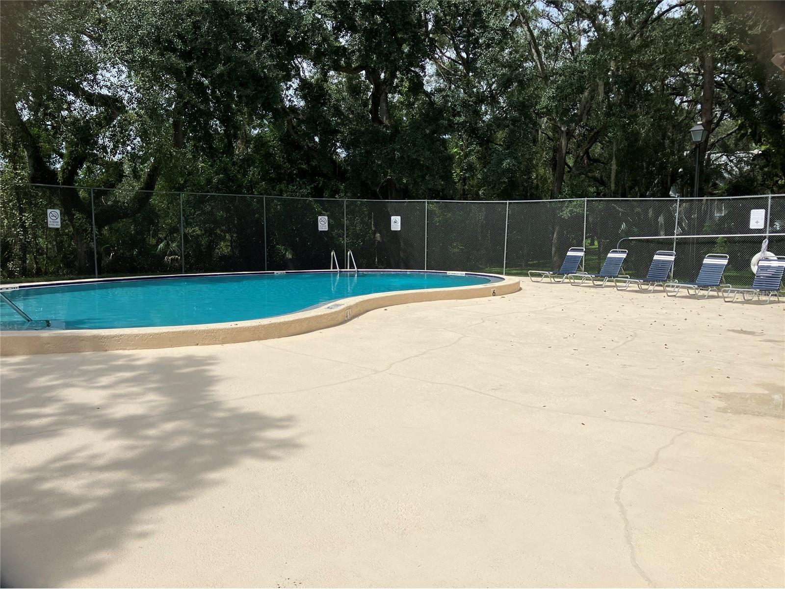 11703 Raintree Village Boulevard #B Temple Terrace FL 33617 TB8468420 image60