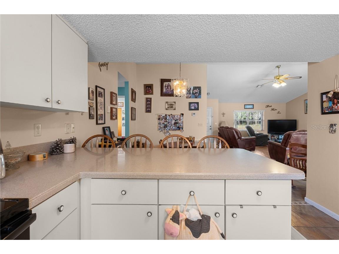 11704 Bur Mac Road Dade City FL 33525 TB8448666 image13