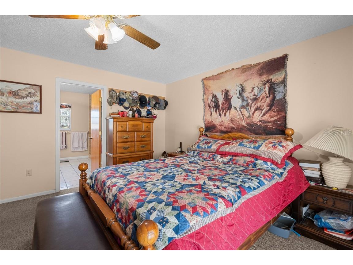 11704 Bur Mac Road Dade City FL 33525 TB8448666 image17