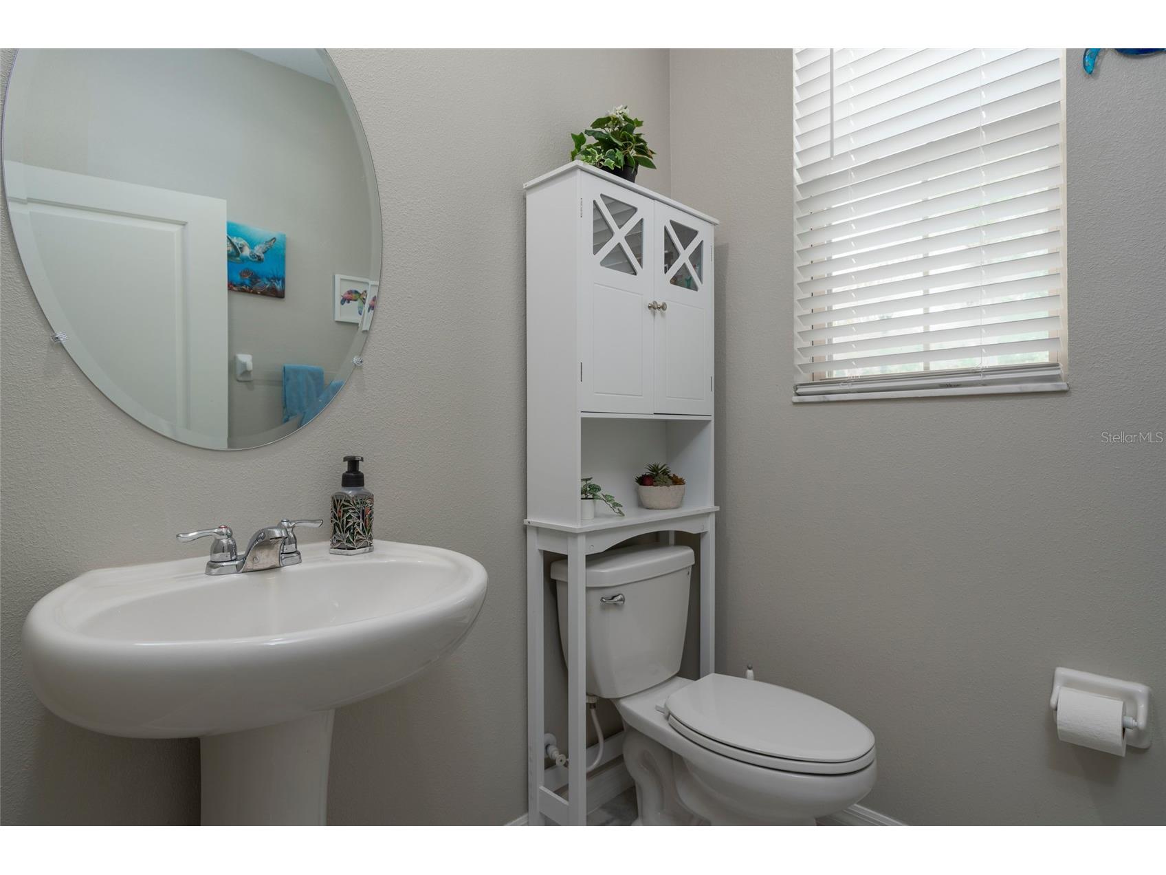 11704 Castine Street New Port Richey FL 34654 TB8483252 image20