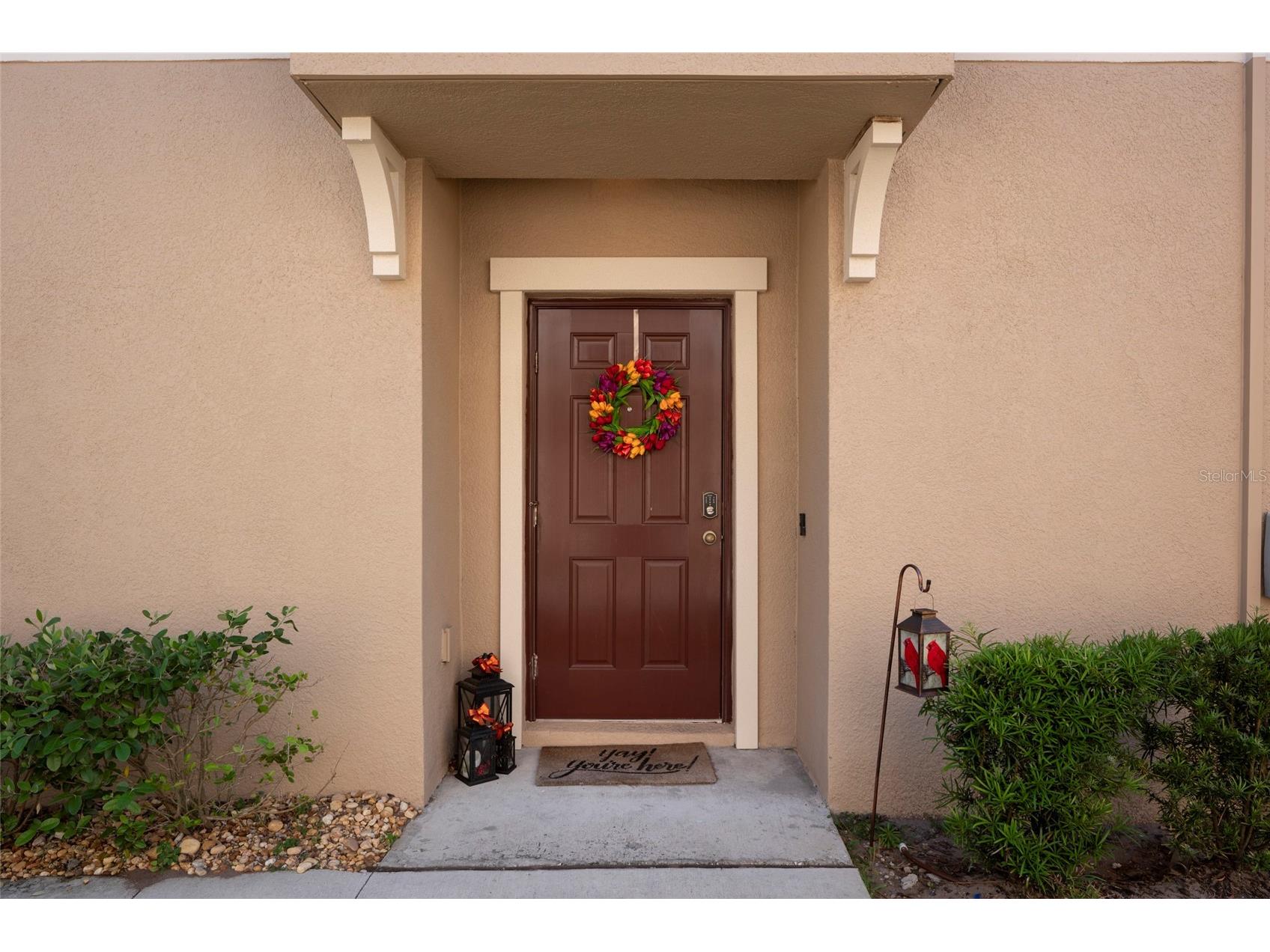 11704 Castine Street New Port Richey FL 34654 TB8483252 image4
