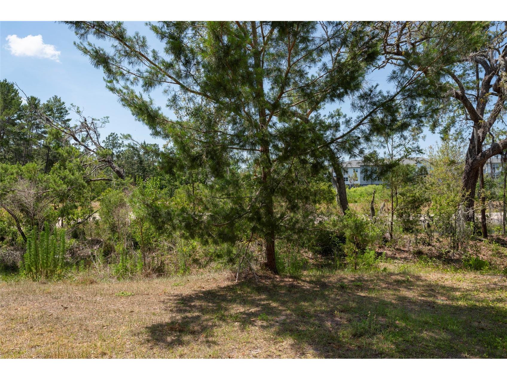 11704 Castine Street New Port Richey FL 34654 TB8483252 image6