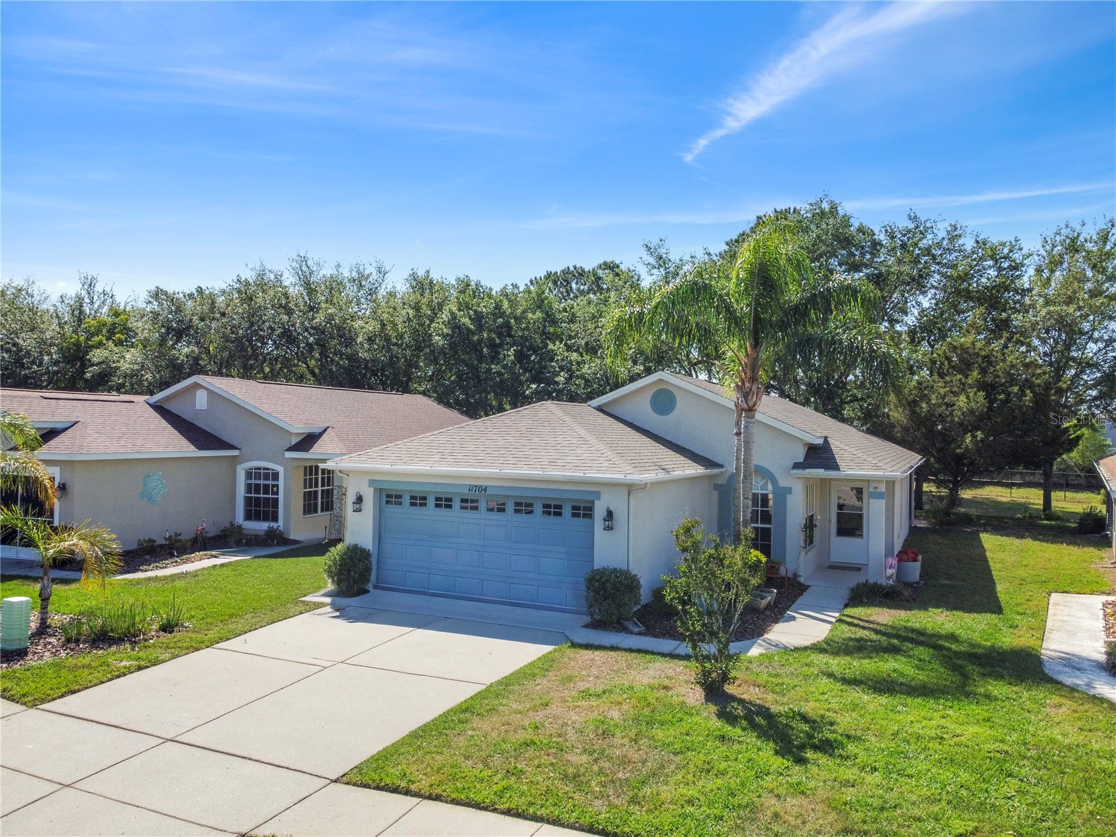11704 New Haven Drive Spring Hill FL 34609 TB8498801 image1