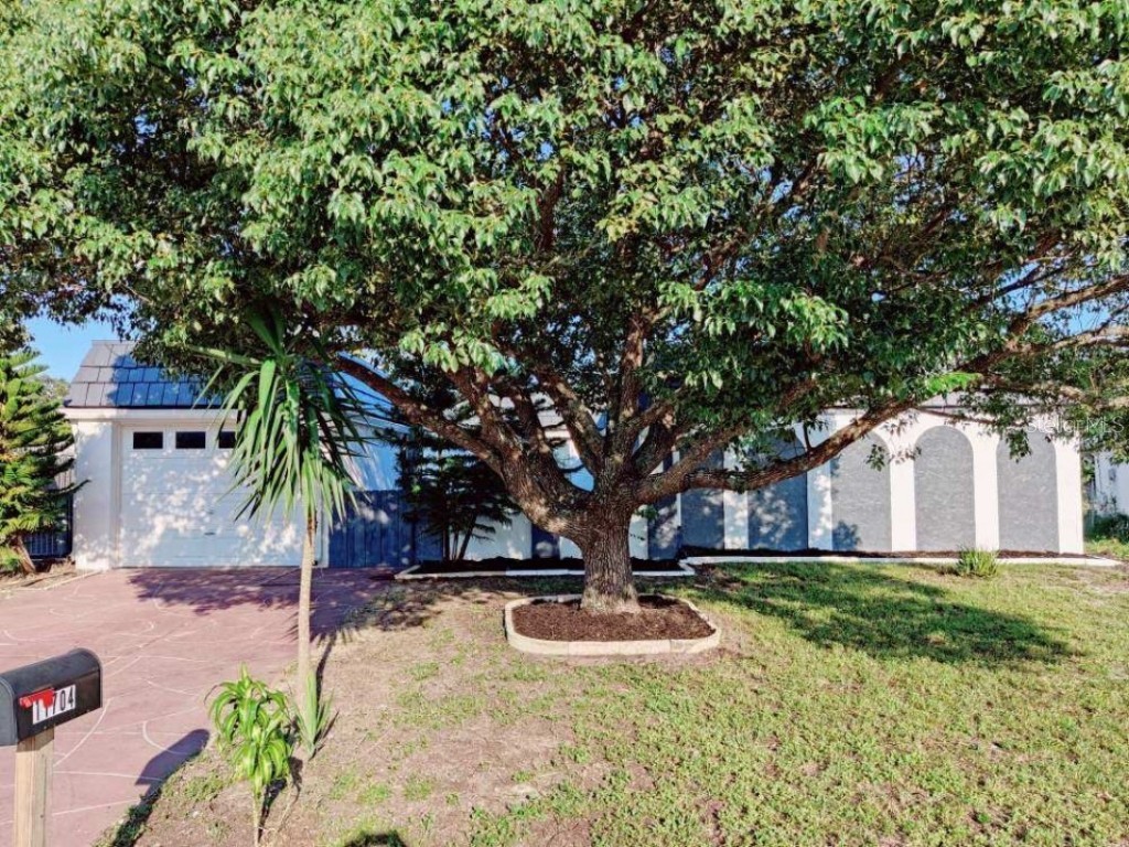 11704 Scallop Drive Port Richey FL 34668 A4552802 image1
