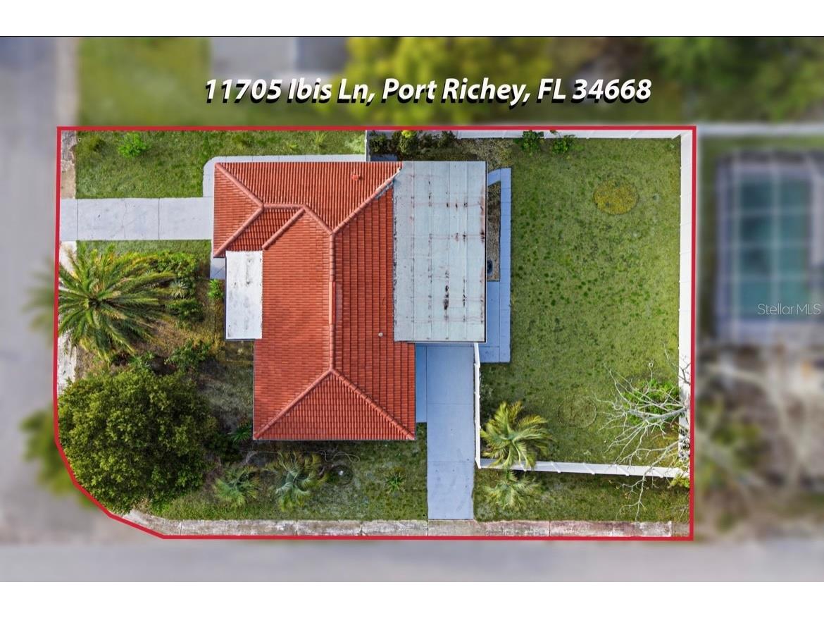 11705 Ibis Lane Port Richey FL 34668 TB8481484 image45