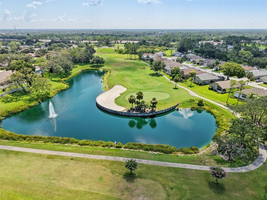 11705 Spindrift Loop Hudson FL 34667 TB8410979 image31