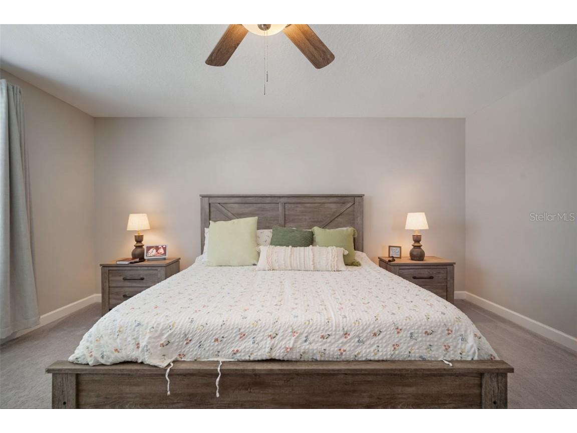 11705 Winterset Cove Drive Riverview FL 33579 TB8430729 image39