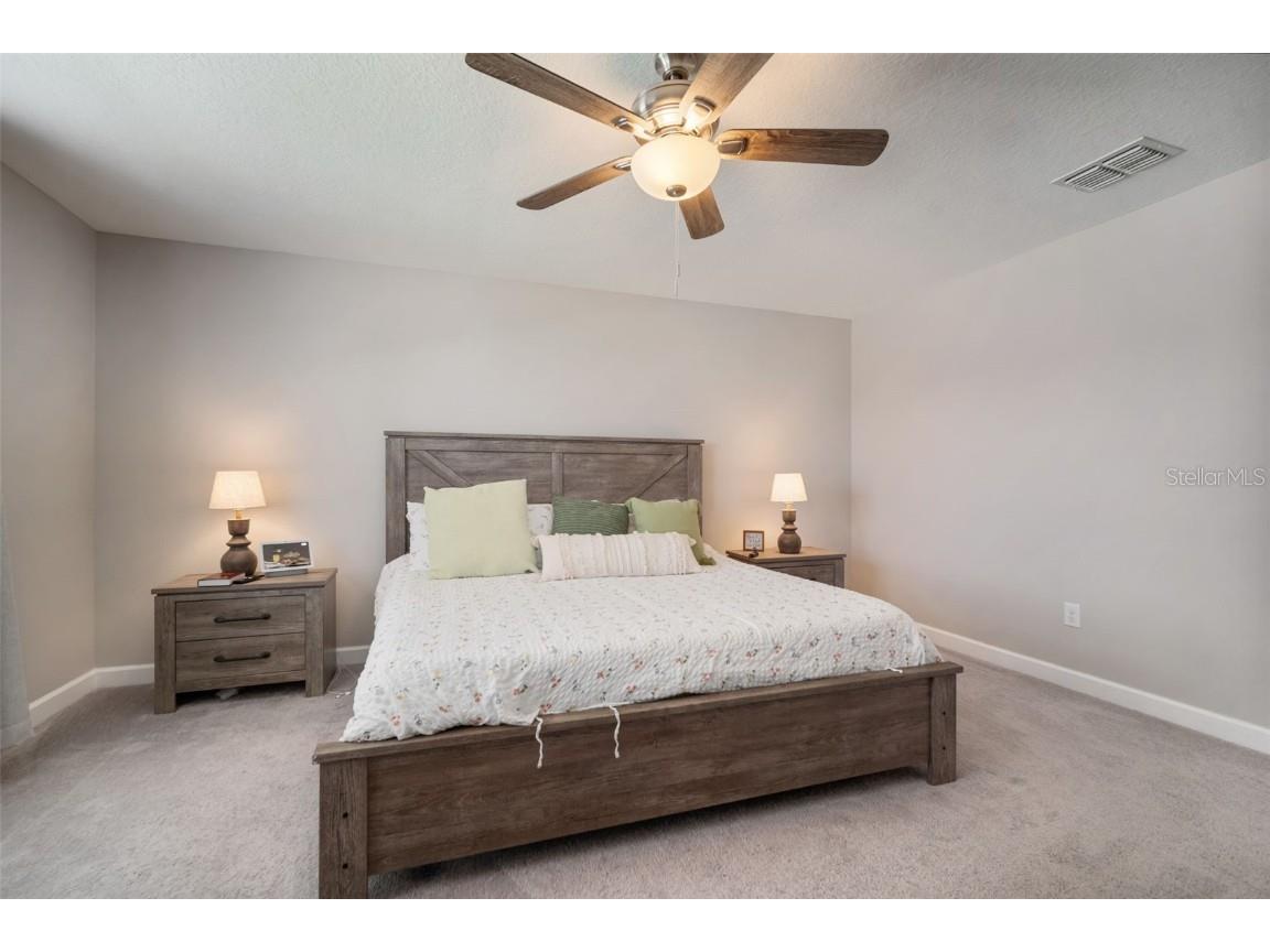 11705 Winterset Cove Drive Riverview FL 33579 TB8430729 image40