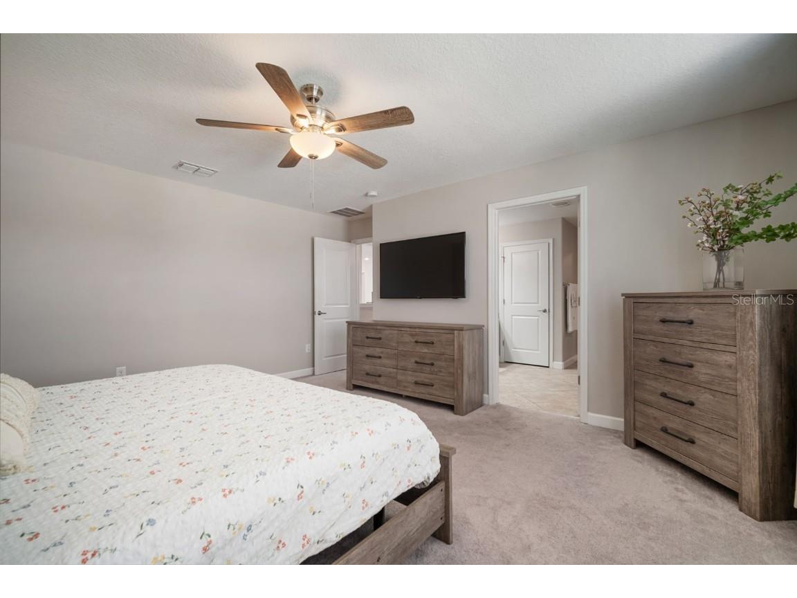 11705 Winterset Cove Drive Riverview FL 33579 TB8430729 image41