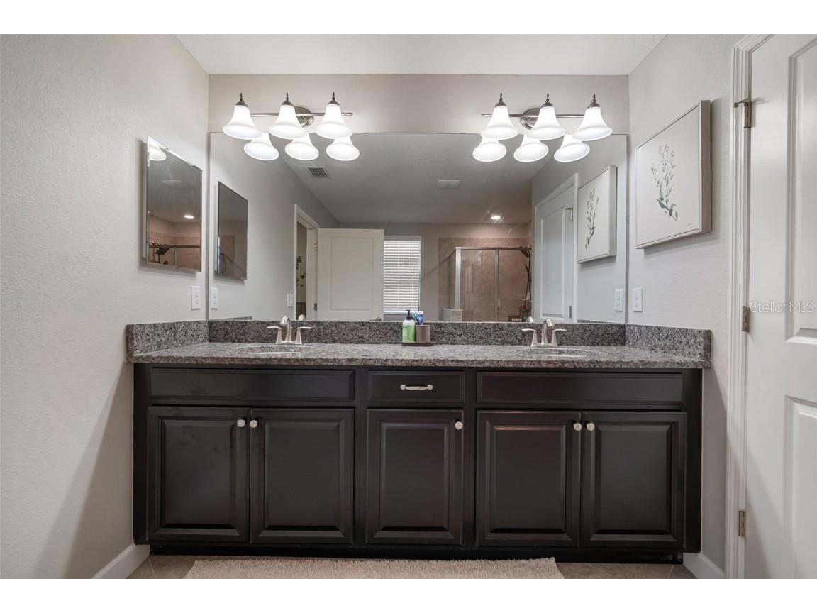 11705 Winterset Cove Drive Riverview FL 33579 TB8430729 image44