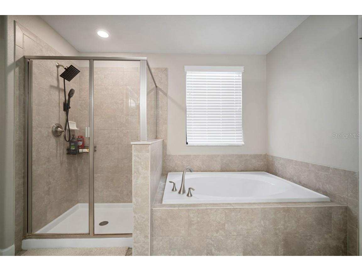 11705 Winterset Cove Drive Riverview FL 33579 TB8430729 image46