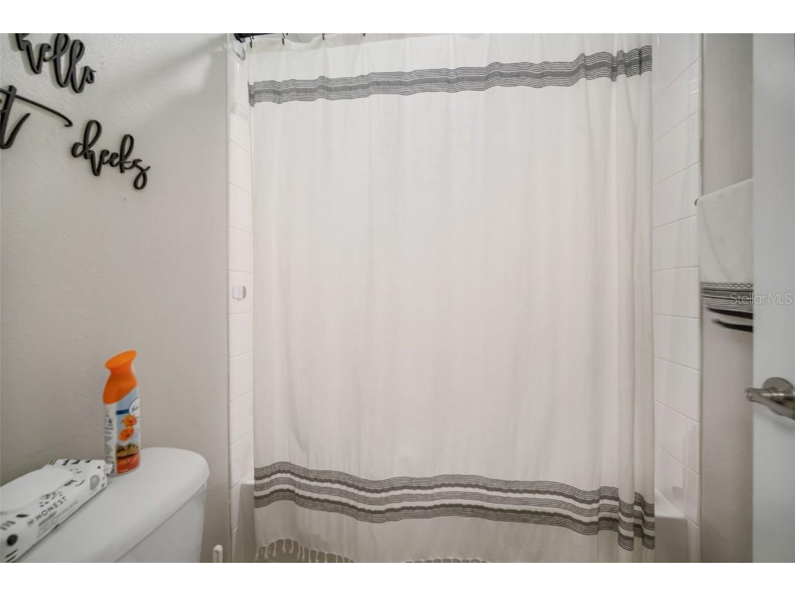 11705 Winterset Cove Drive Riverview FL 33579 TB8430729 image56