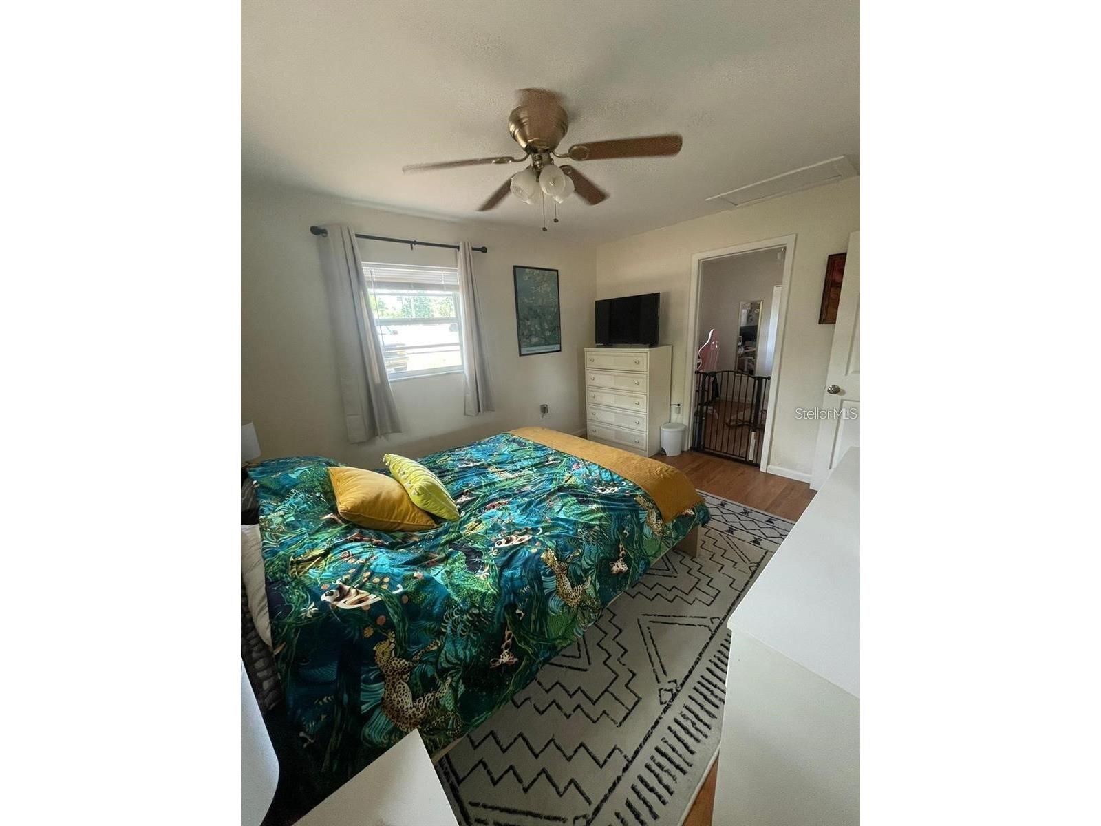 11707 North Drive Tampa FL 33617 TB8503125 image10