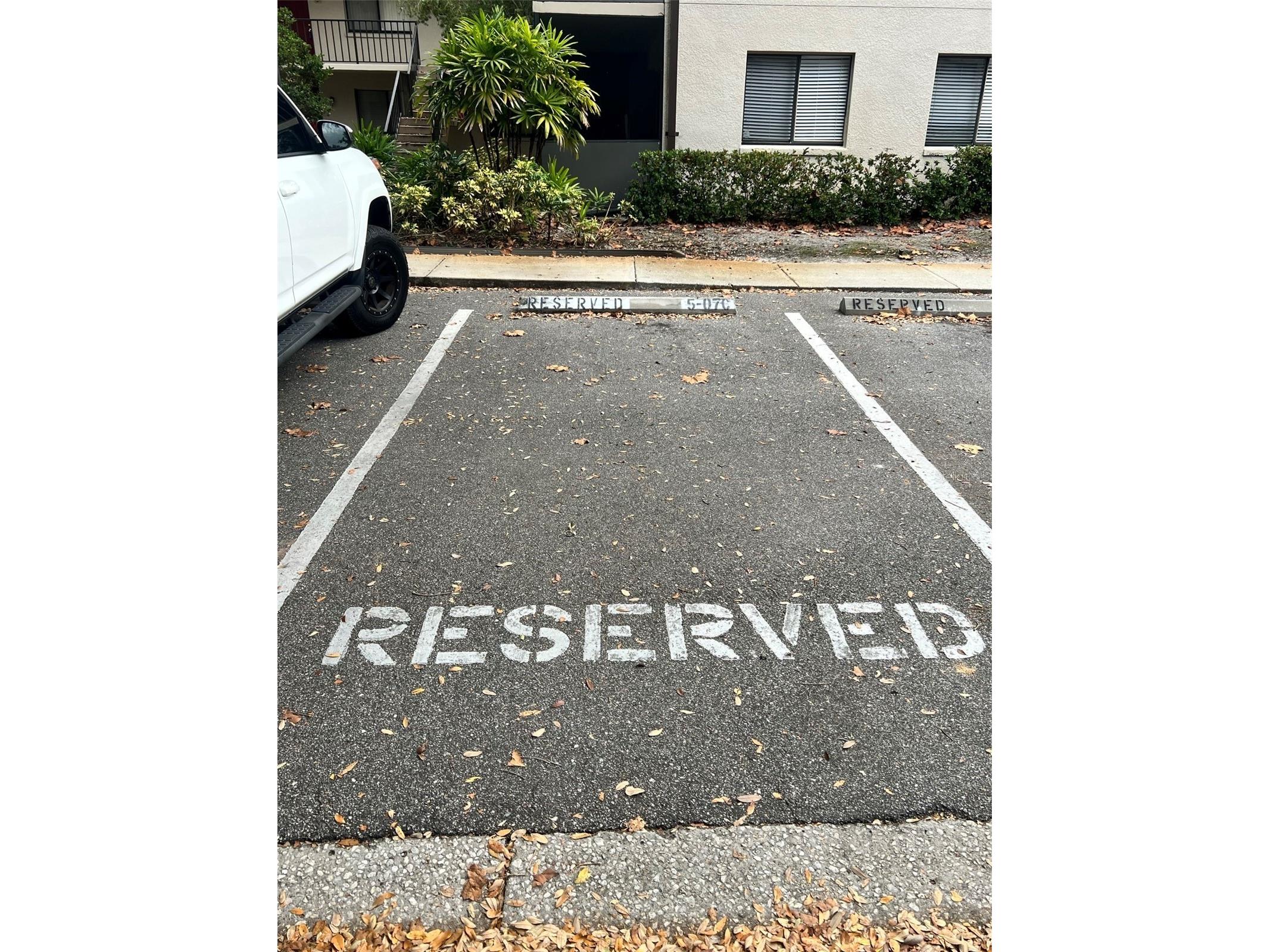 11707 Raintree Village Boulevard #C Temple Terrace FL 33617 TB8452398 image32