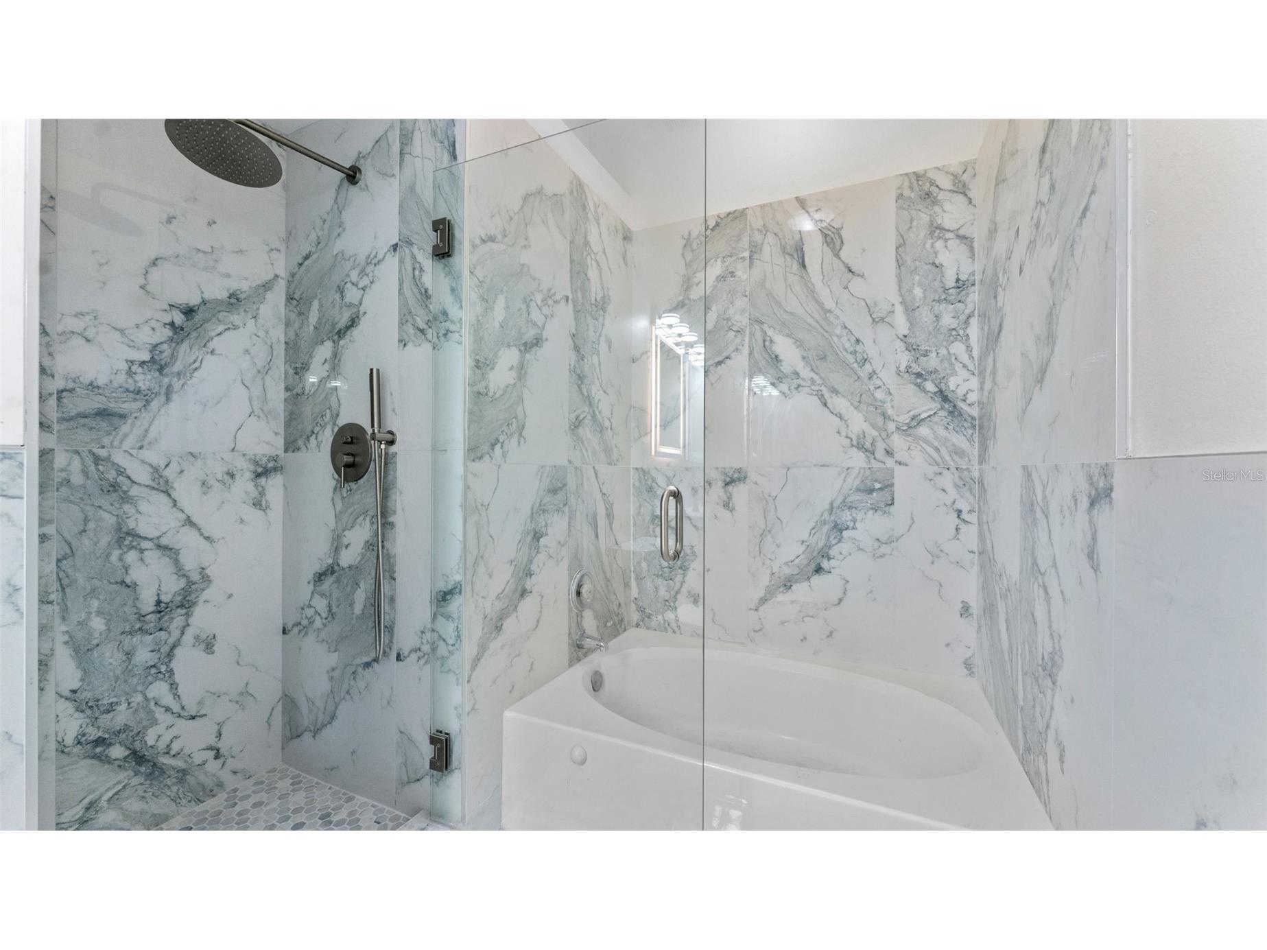 11708 Carrollwood Cove Drive Tampa FL 33624 TB8500297 image12