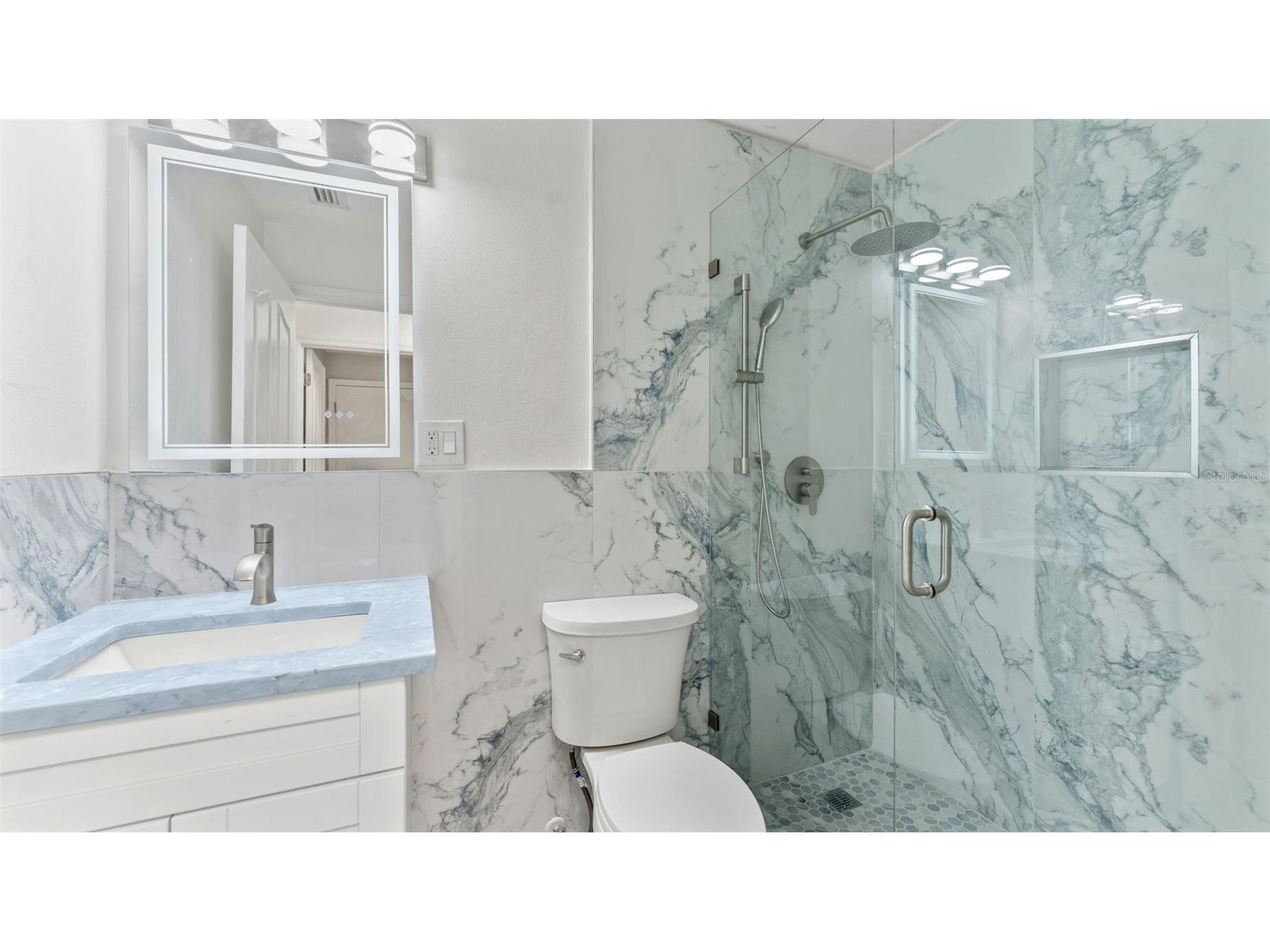 11708 Carrollwood Cove Drive Tampa FL 33624 TB8500297 image21