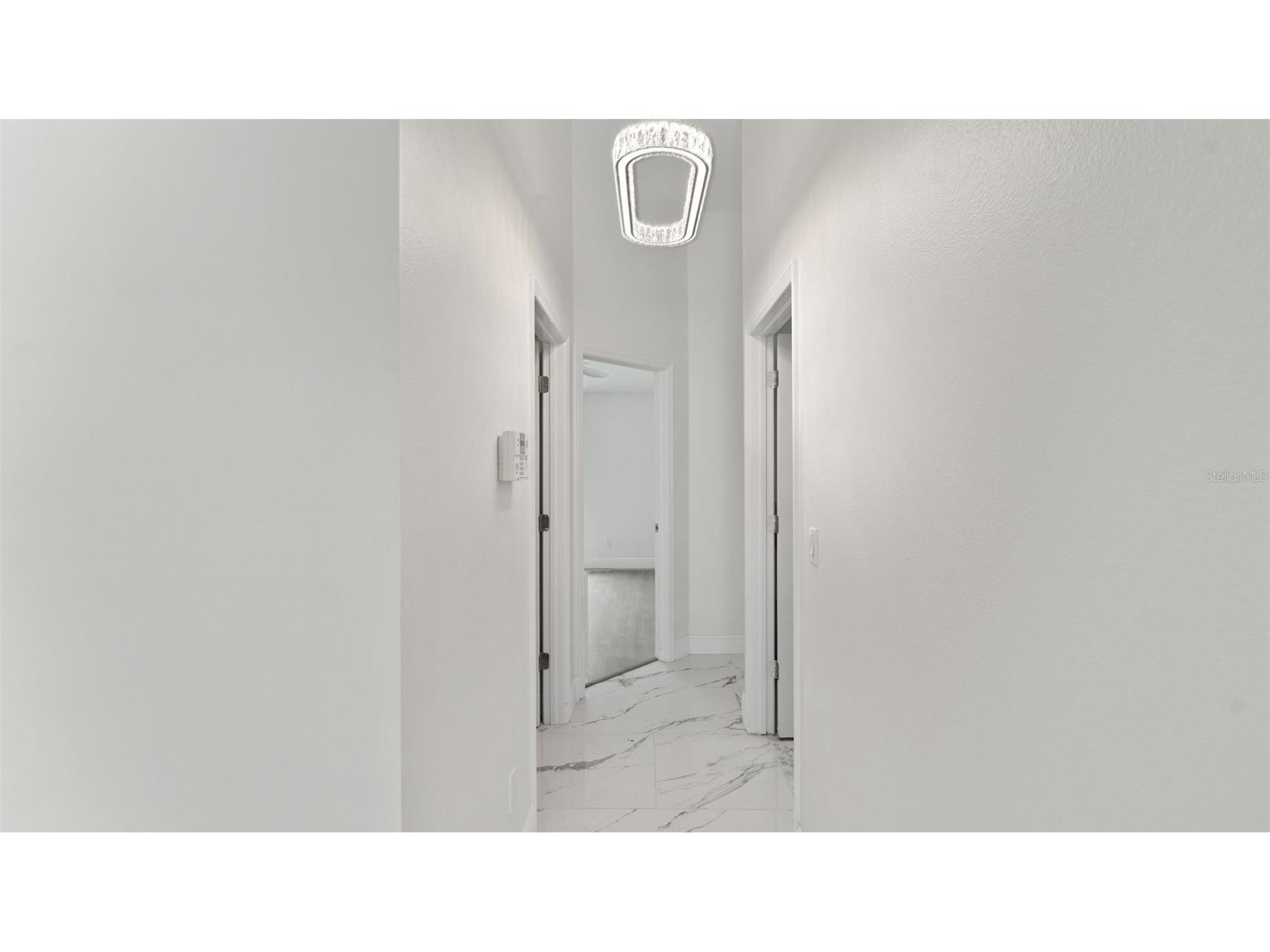 11708 Carrollwood Cove Drive Tampa FL 33624 TB8500297 image23