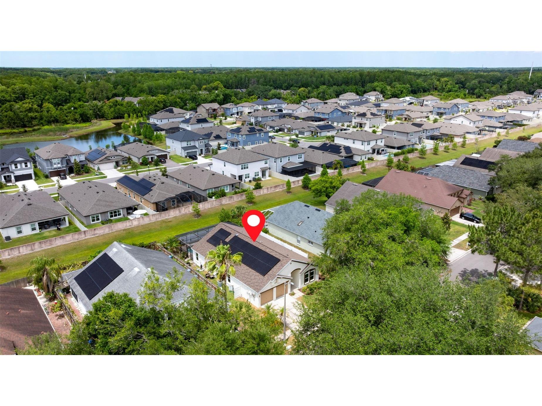 11708 Carrollwood Cove Drive Tampa FL 33624 TB8500297 image34