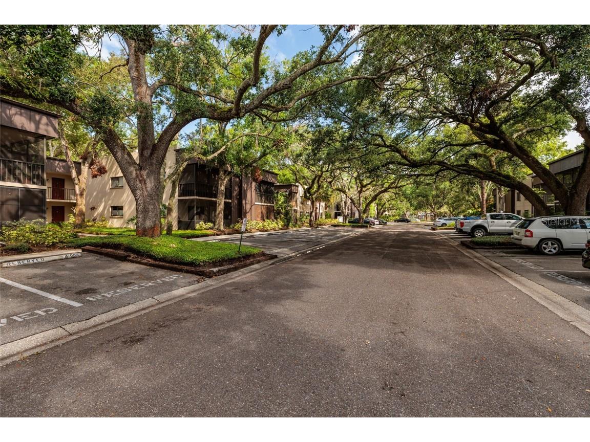 11708 Raintree Village Boulevard #A Temple Terrace FL 33617 TB8452499 image2