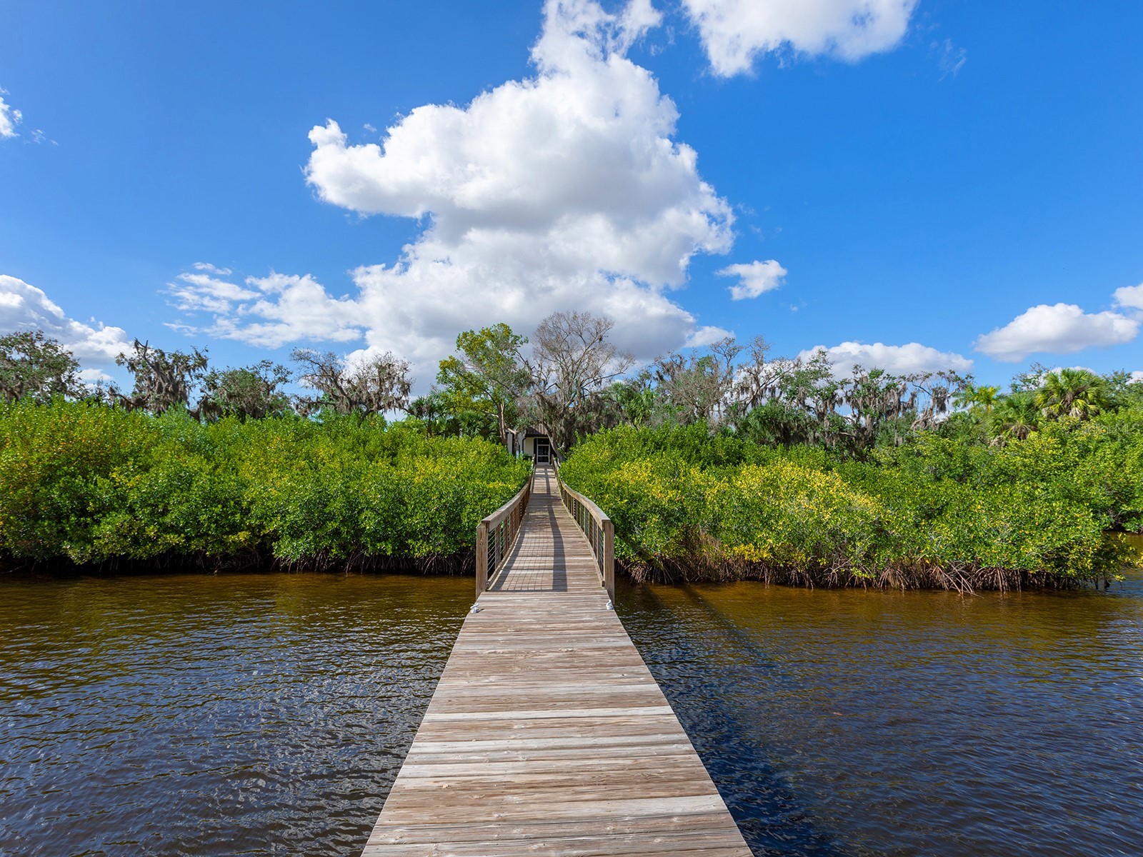 11708 Rive Isle Run Parrish FL 34219 - MANATEE RIVER A4683414 image54