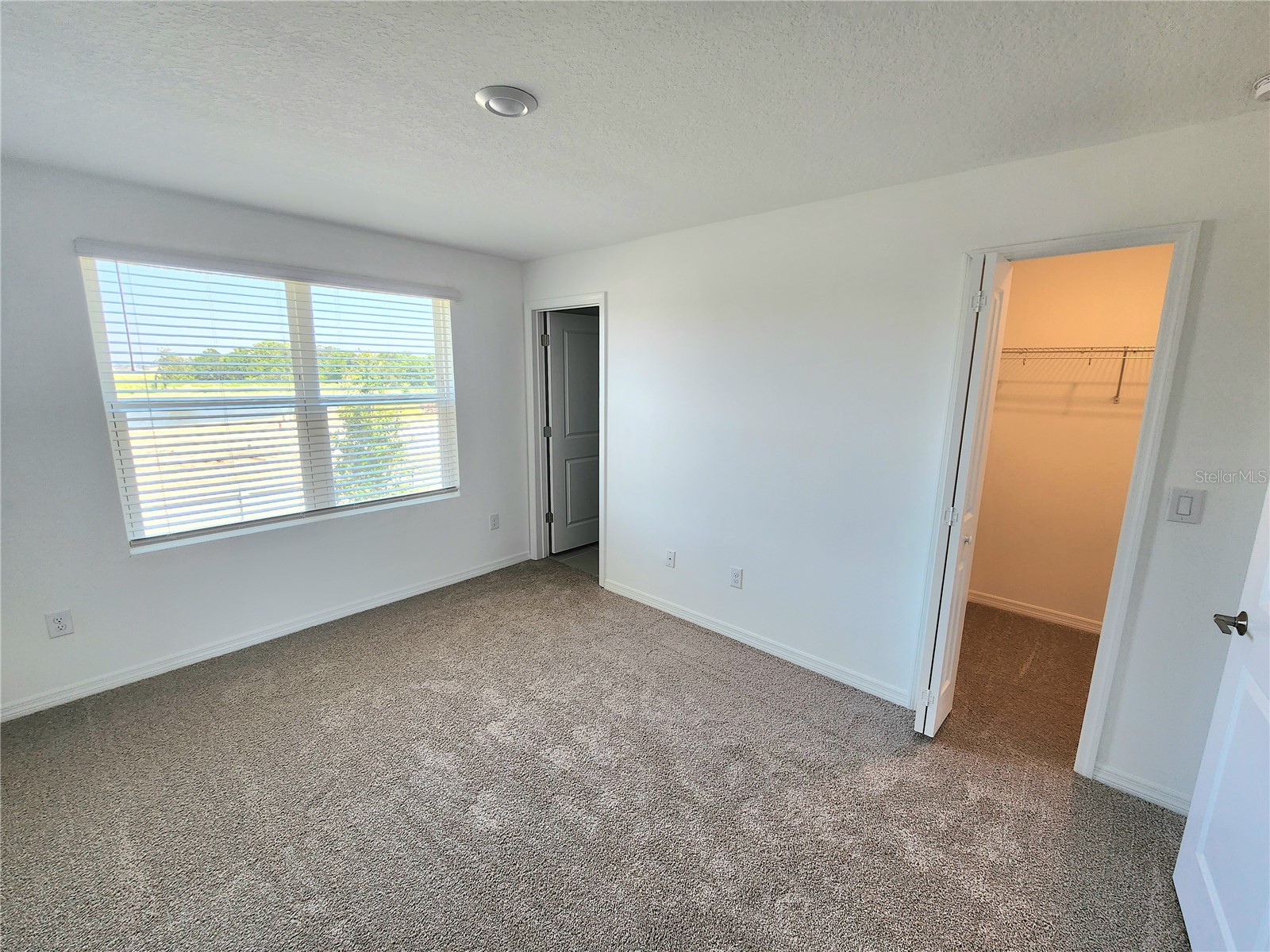 11708 Stonesmith Crossing Palmetto FL 34221 A4693648 image15