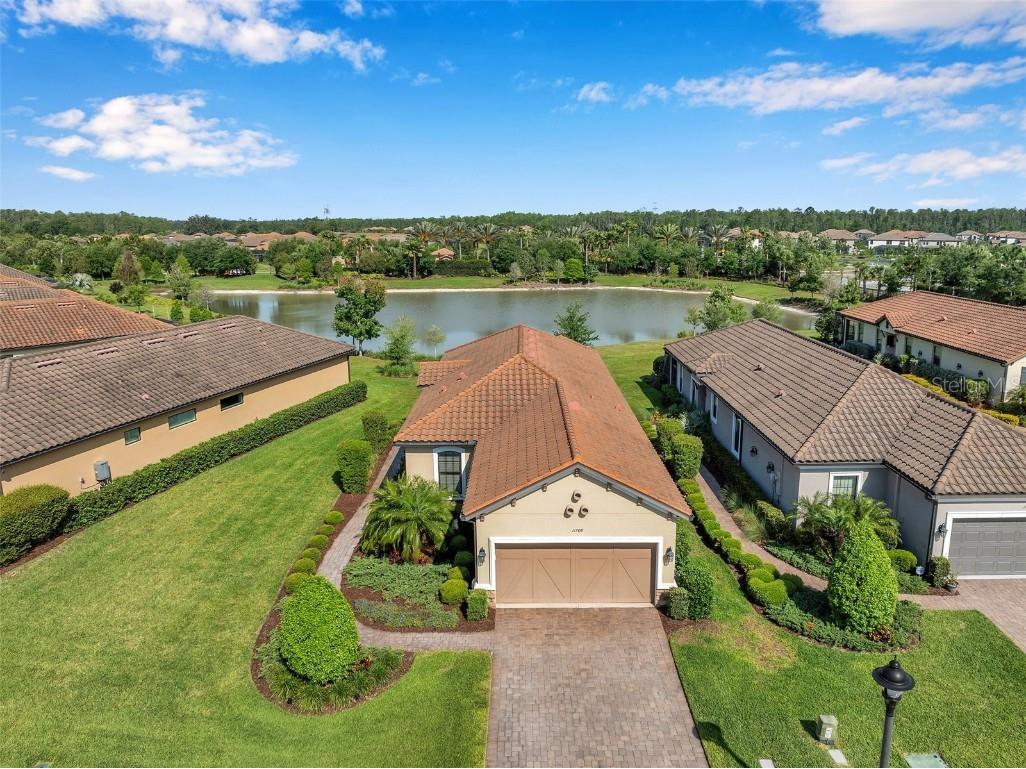 11709 Callisia Drive Odessa FL 33556 U8238189 image1