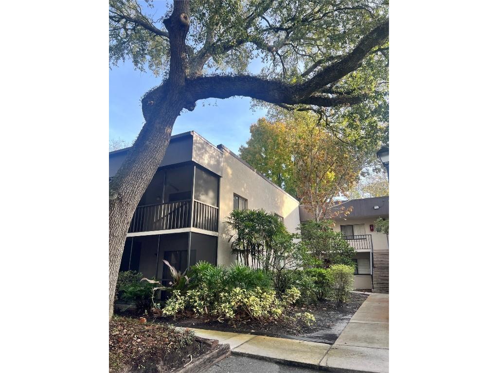 11709 Raintree Village Boulevard #C Temple Terrace FL 33617 TB8457272 image2