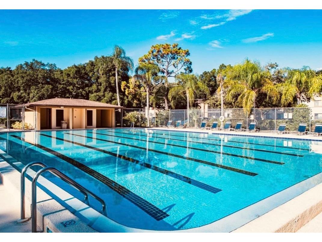 11709 Raintree Village Boulevard #C Temple Terrace FL 33617 TB8457272 image23