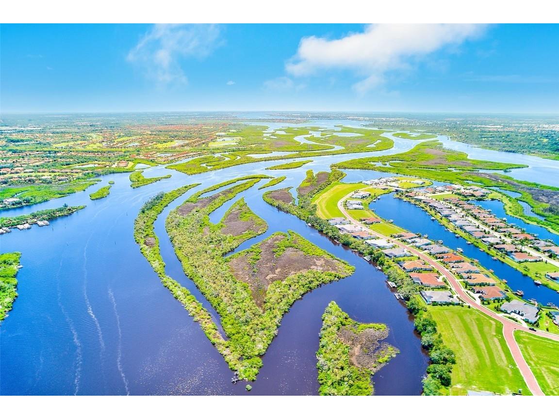 11709 Rive Isle Run Parrish FL 34219 TB8405736 image10