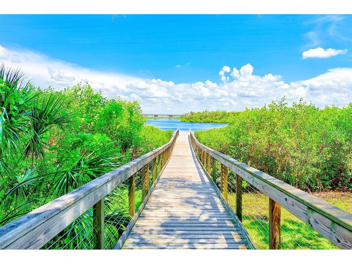 11709 Rive Isle Run Parrish FL 34219 TB8405736 image21