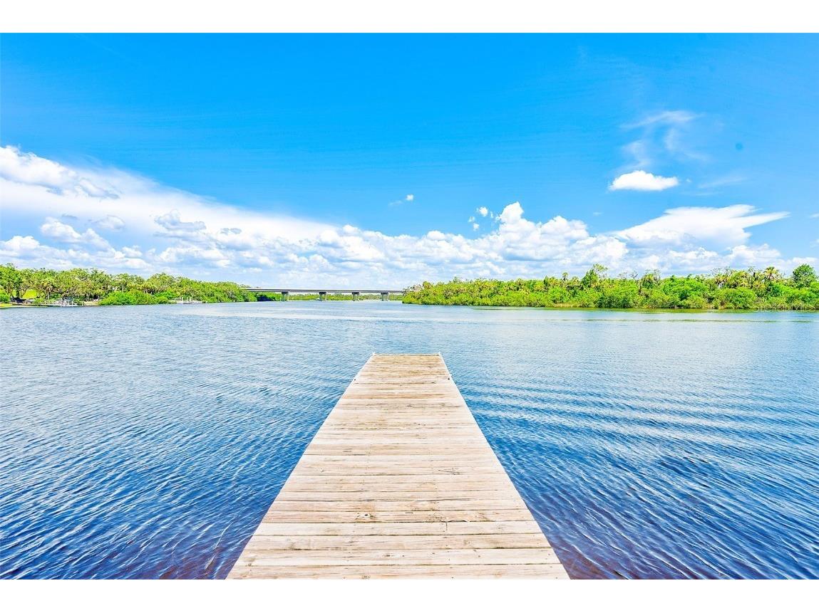 11709 Rive Isle Run Parrish FL 34219 TB8405736 image22