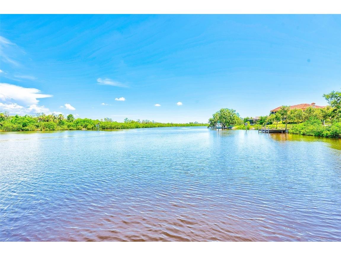 11709 Rive Isle Run Parrish FL 34219 TB8405736 image24