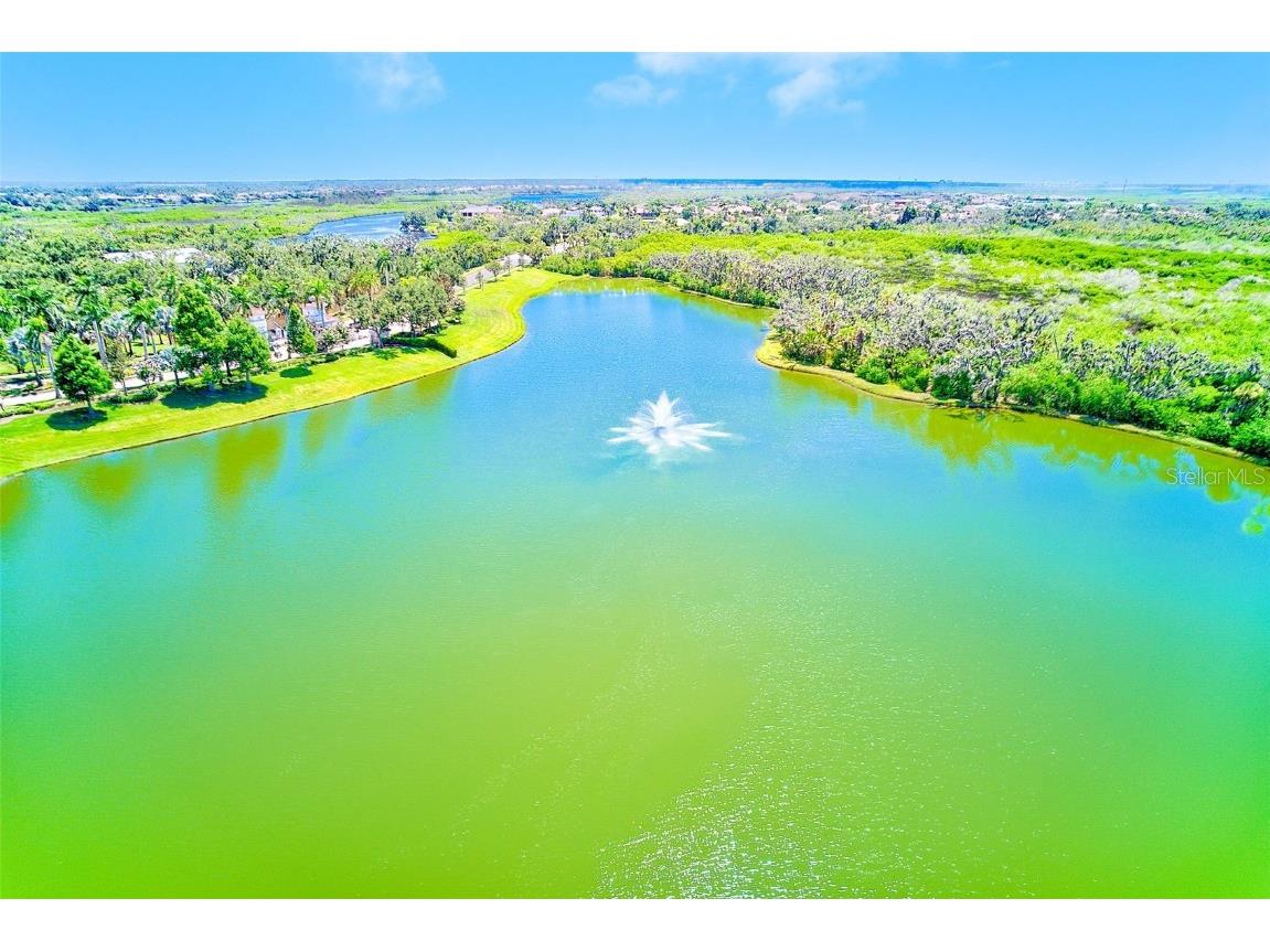 11709 Rive Isle Run Parrish FL 34219 TB8405736 image34