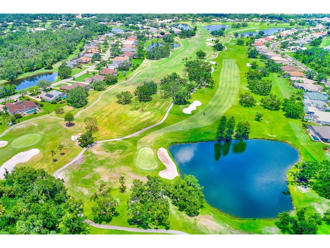 11709 Rive Isle Run Parrish FL 34219 TB8405736 image38