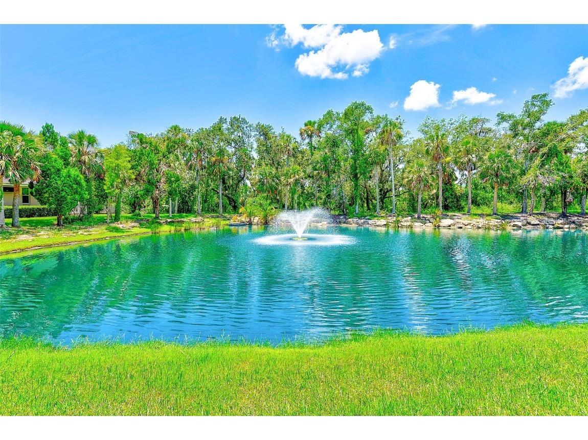 11709 Rive Isle Run Parrish FL 34219 TB8405736 image44