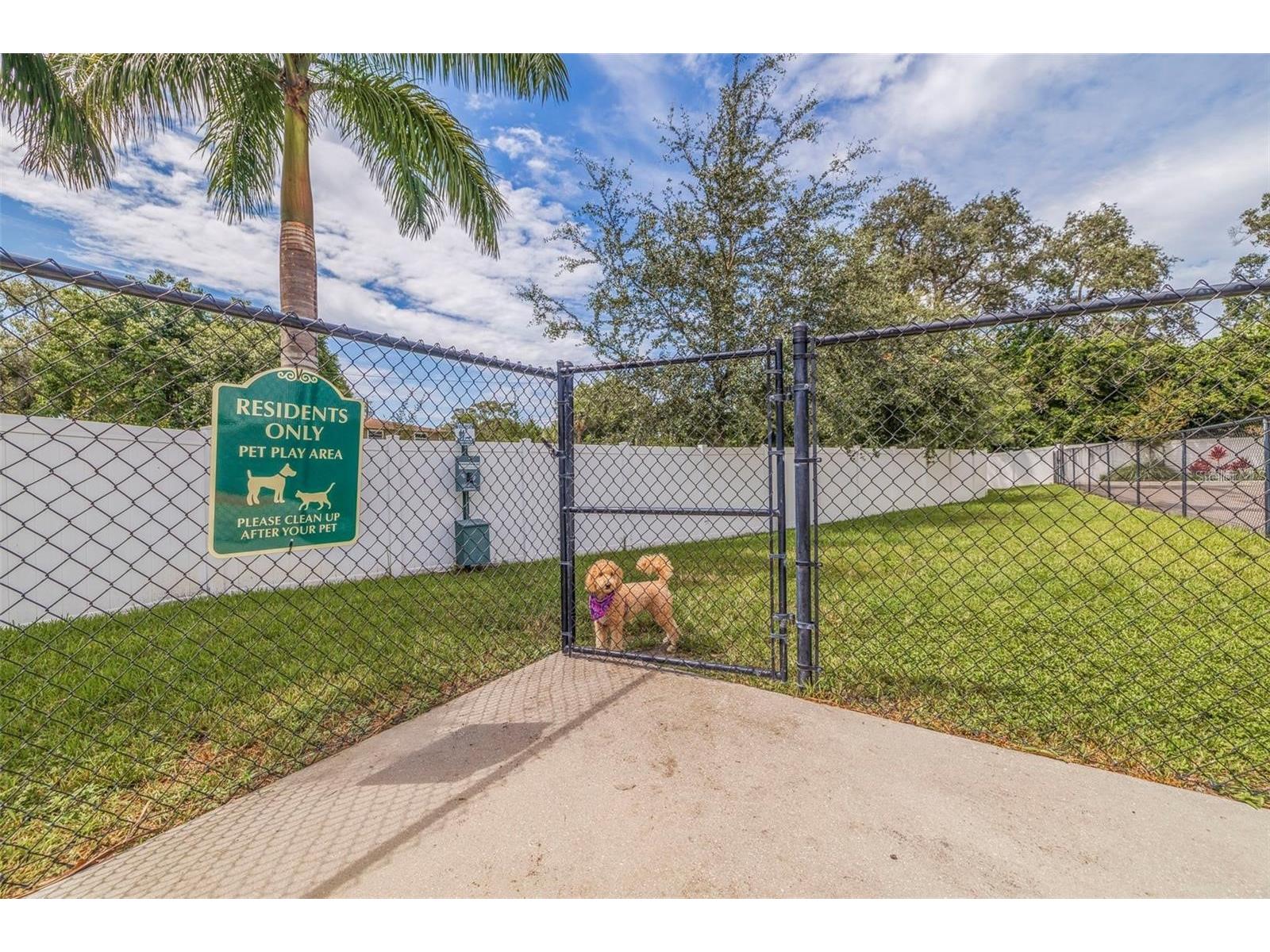 1171 25th Lane N Saint Petersburg FL 33713 TB8511135 image62