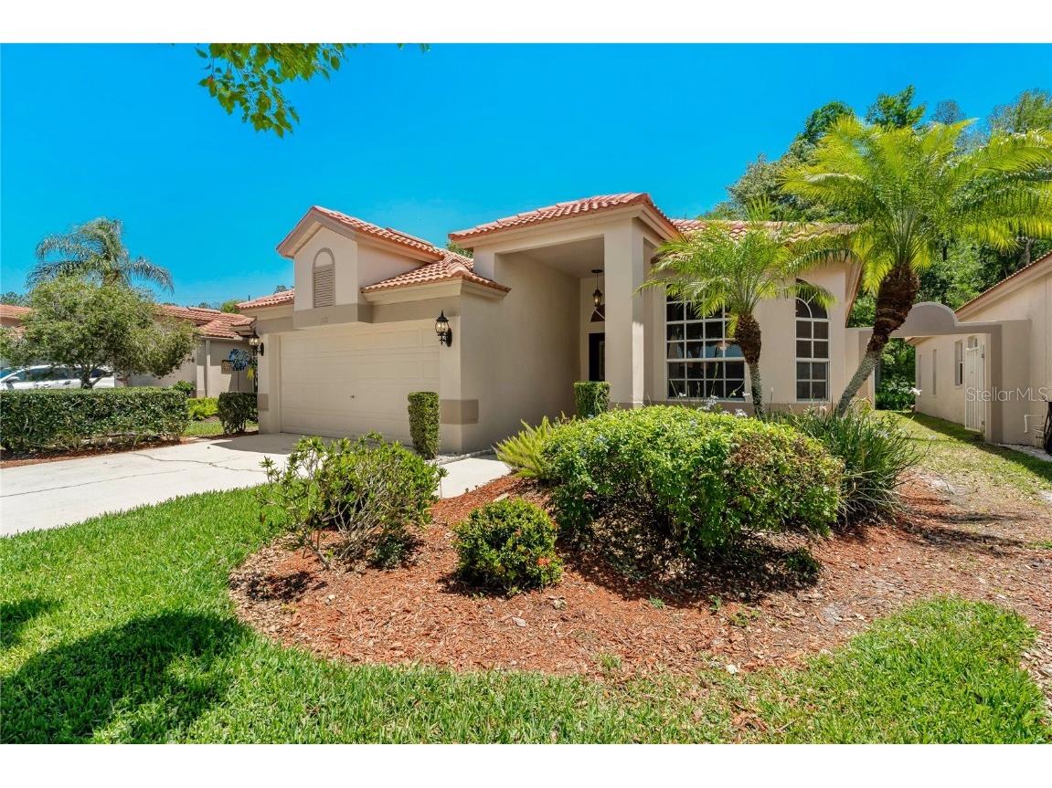 1171 Dartford Drive Tarpon Springs FL 34688 W7874777 image1