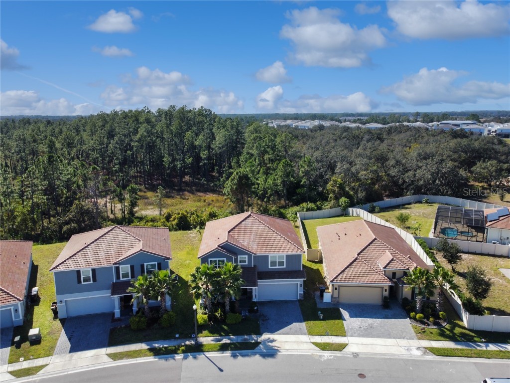 1171 Oak Bluff Drive Davenport FL 33837 P4937037 image2