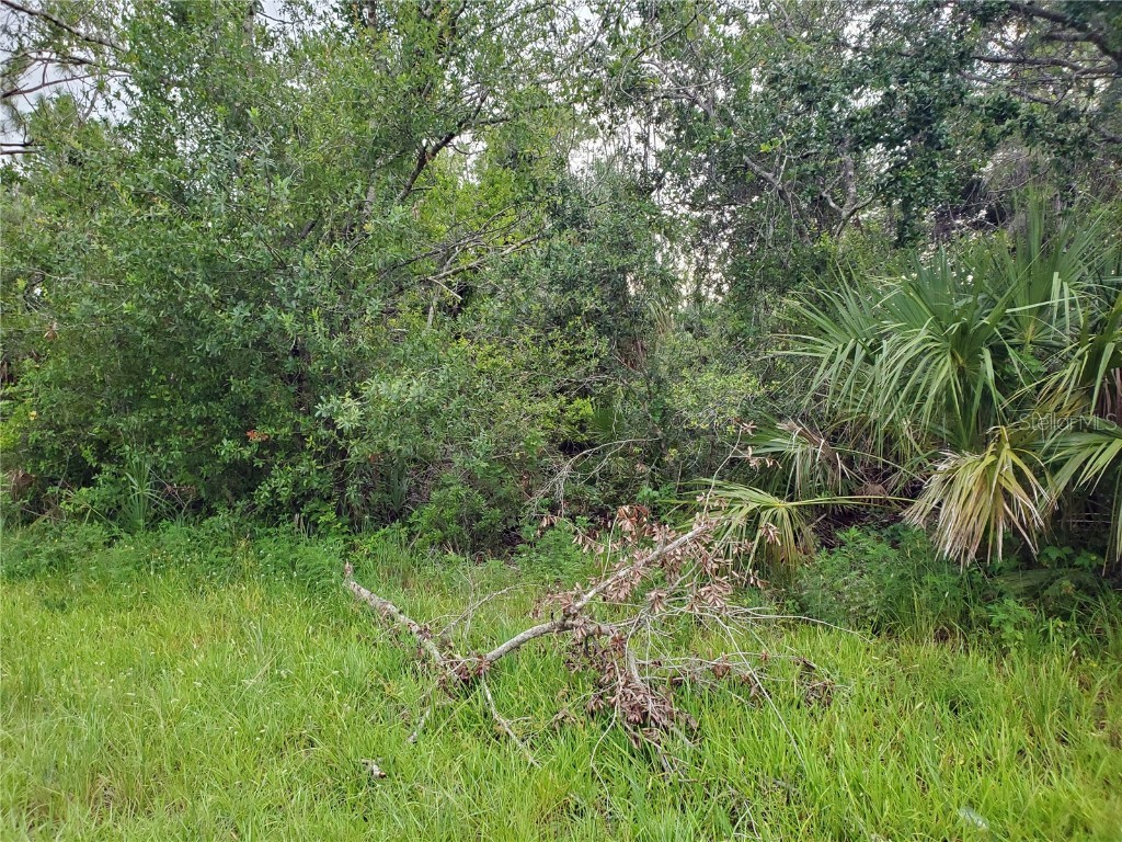 1171 Orlando Boulevard Port Charlotte FL 33952 D6131547 image1