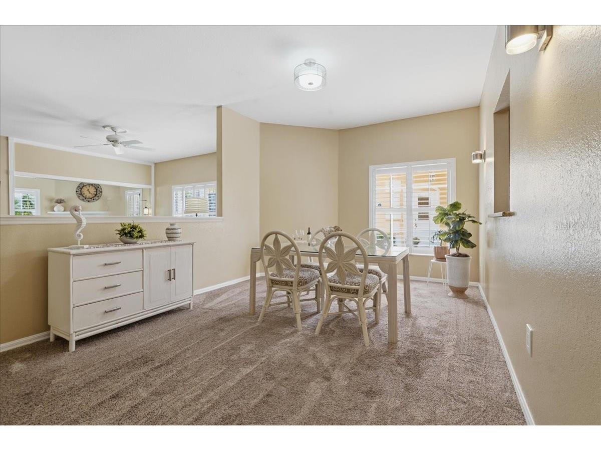 1171 Royal Boulevard Palm Harbor FL 34684 TB8487346 image13