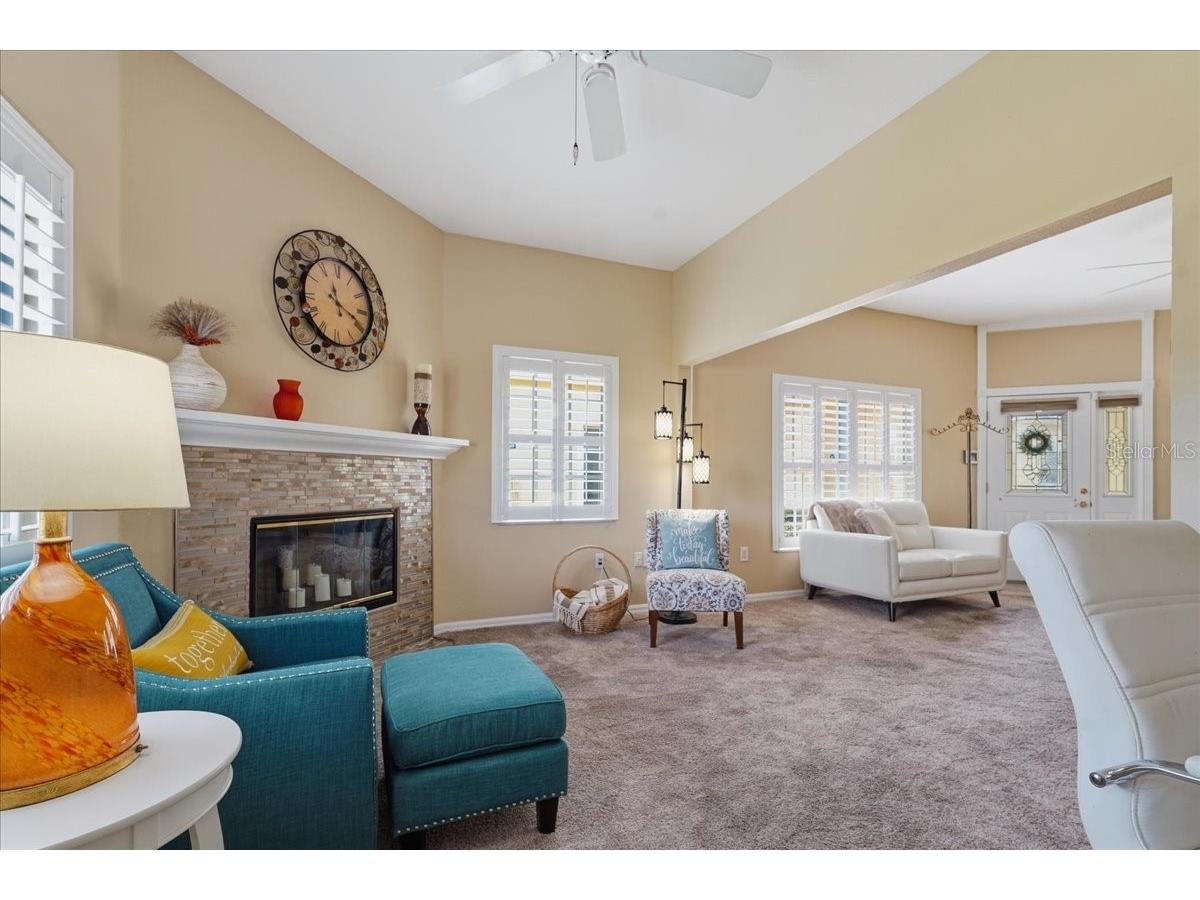 1171 Royal Boulevard Palm Harbor FL 34684 TB8487346 image17