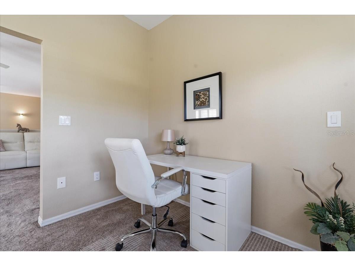 1171 Royal Boulevard Palm Harbor FL 34684 TB8487346 image19