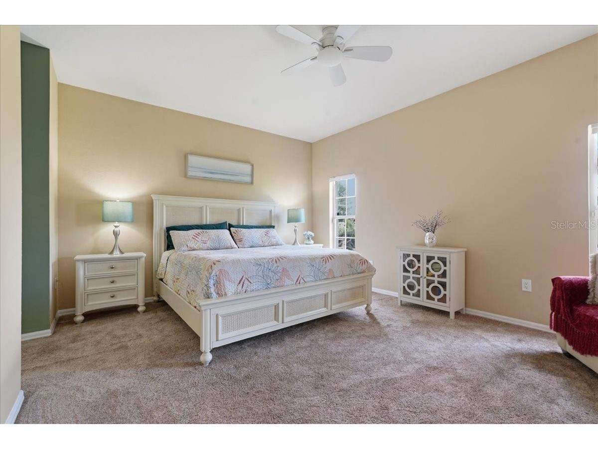 1171 Royal Boulevard Palm Harbor FL 34684 TB8487346 image22