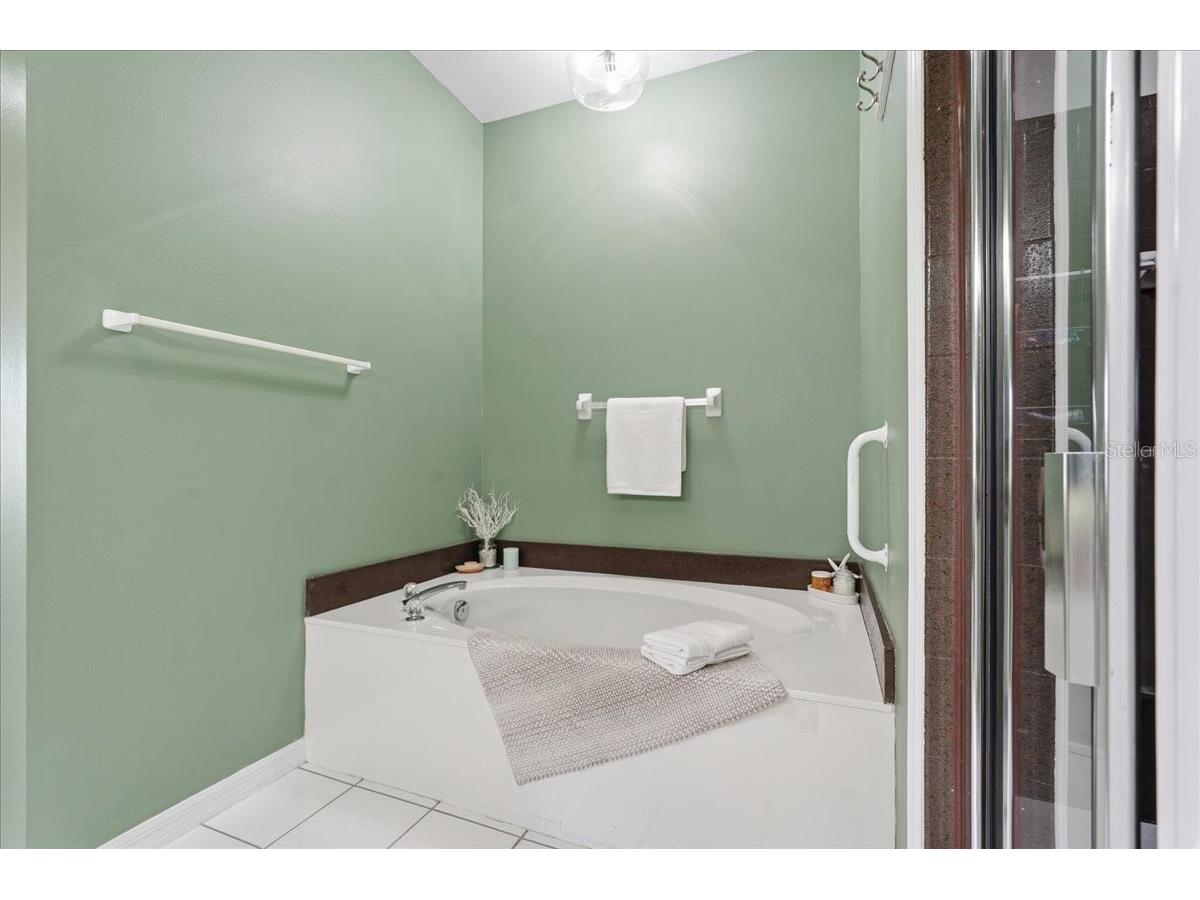 1171 Royal Boulevard Palm Harbor FL 34684 TB8487346 image26