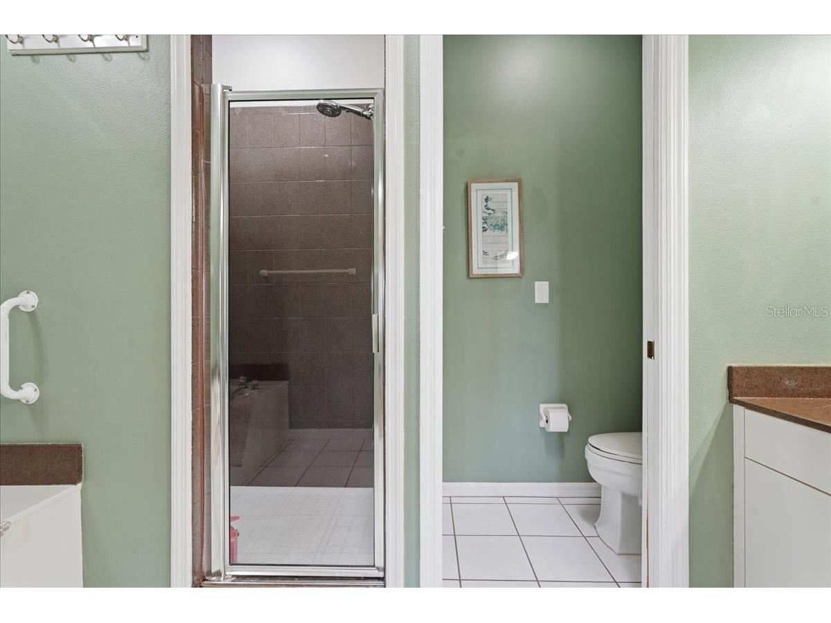 1171 Royal Boulevard Palm Harbor FL 34684 TB8487346 image27