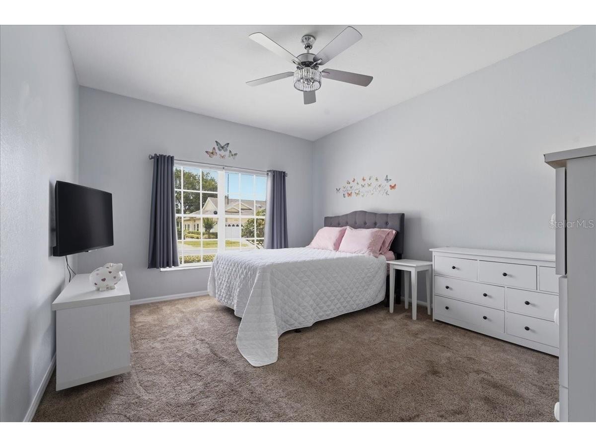 1171 Royal Boulevard Palm Harbor FL 34684 TB8487346 image28