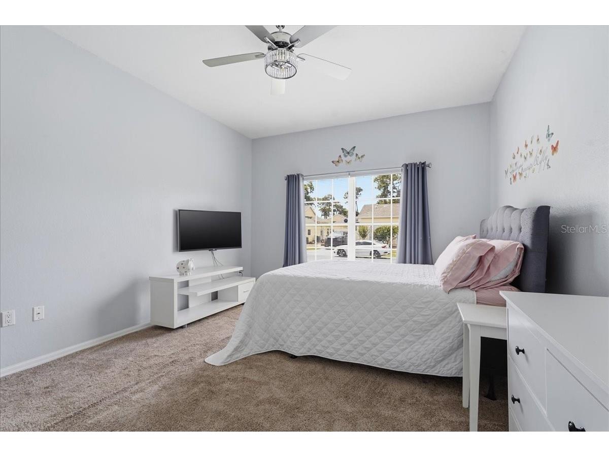 1171 Royal Boulevard Palm Harbor FL 34684 TB8487346 image29