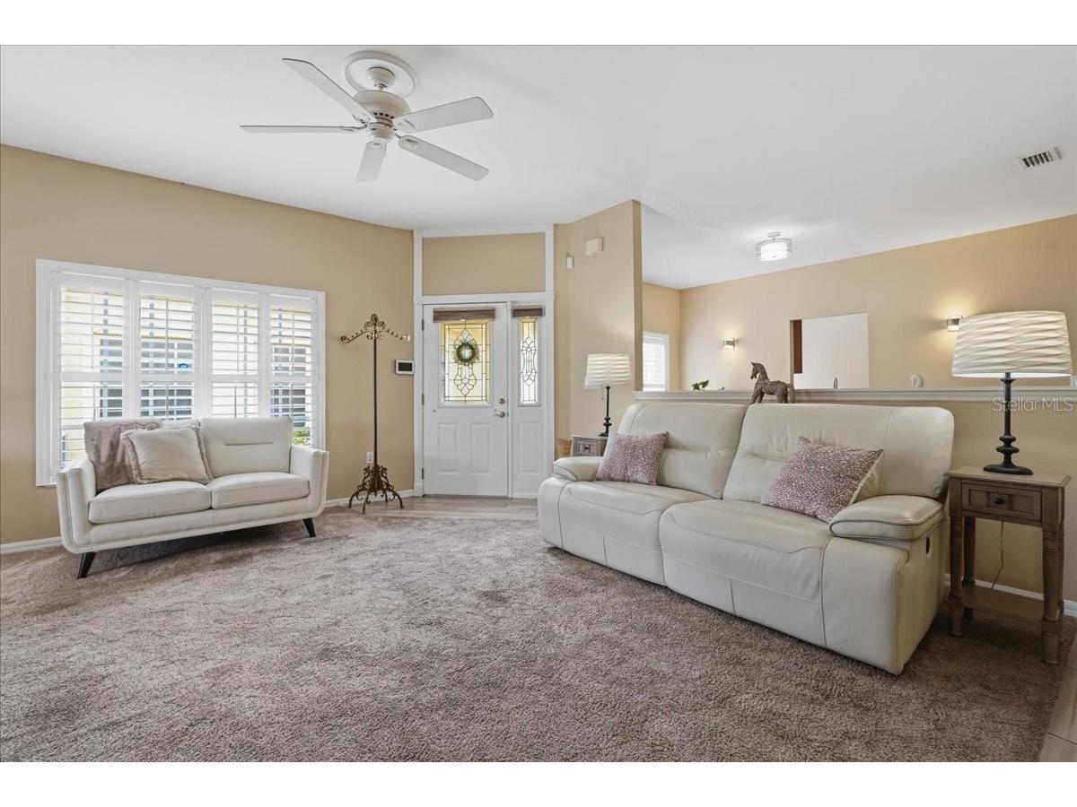 1171 Royal Boulevard Palm Harbor FL 34684 TB8487346 image3