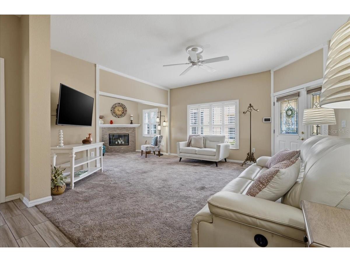 1171 Royal Boulevard Palm Harbor FL 34684 TB8487346 image4